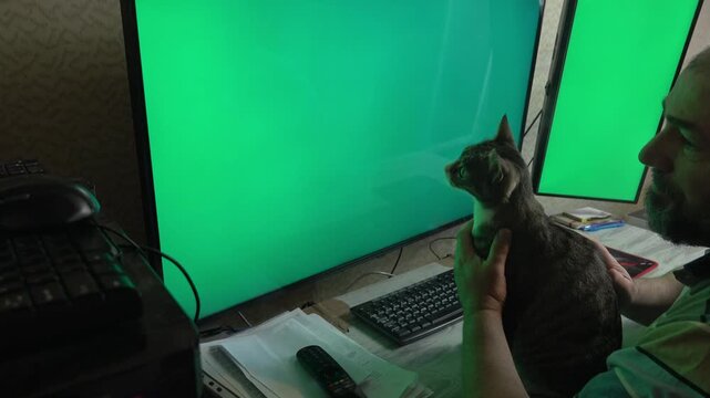 A middle-aged professional strokes his curious pet cat to calm her down while working on a computer setup with two monitors.
