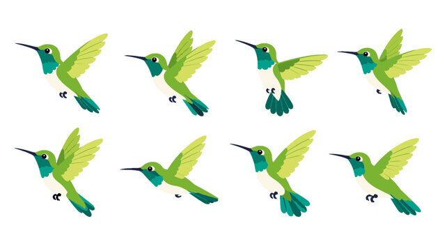 Set of green hummingbird illustrations in flying poses