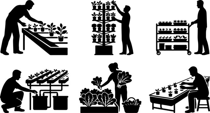 Set of silhouettes of people working in a greenhouse or hydroponic farm vector illustration