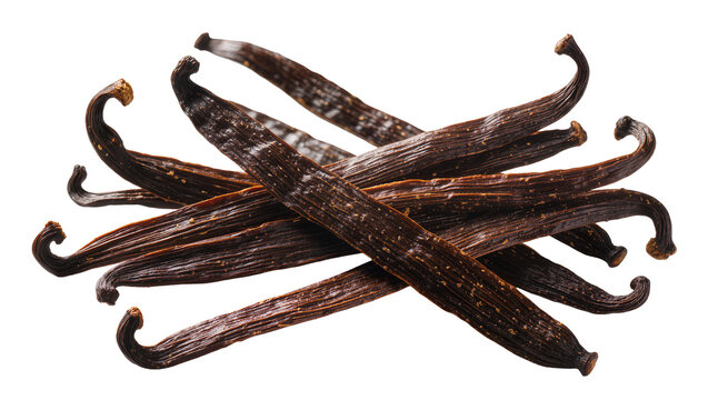 Dried dark brown vanilla beans with curved ends
