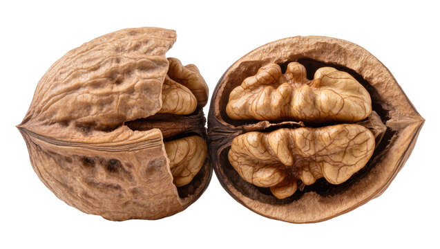 Two halves of a cracked walnut with kernels visible