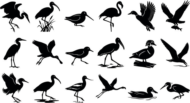 Water Birds and Waterfowl Silhouette Icon Set Featuring Herons Flamingos Ducks Ibises and Storks for Graphic Design ElementsWater Birds and Waterfowl Silhouette Icon Set Featuring Herons Flamingos Duc