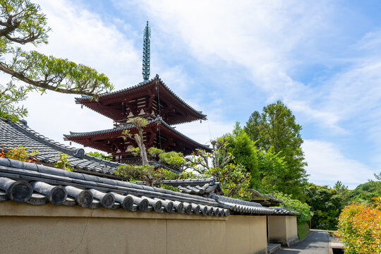 【奈良県】斑鳩町 法輪寺 (2026/05/26撮影)