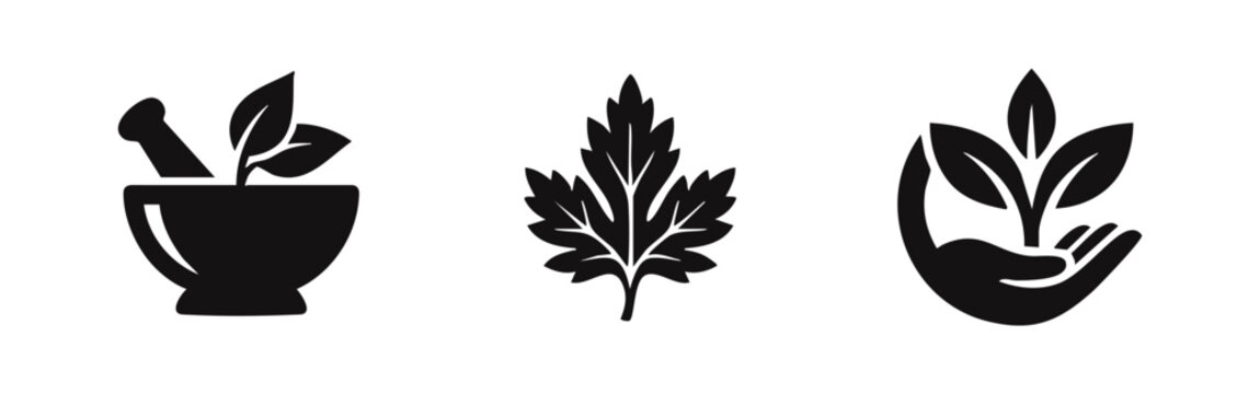 Herbal medicine and natural remedies icons set. Holistic health and plant-based treatment.