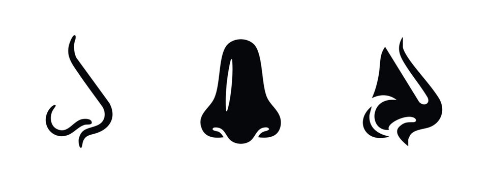 Human nose icons set. Sense of smell and facial anatomy.