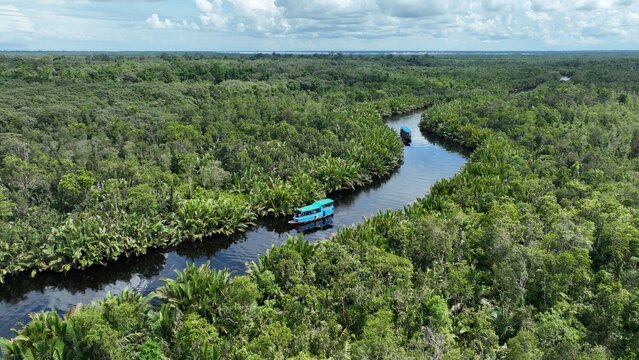 Aerial view of klotok boats navigating a winding river through the dense tropical rainforest of Tanjung Puting National Park in Kumai, Central Kalimantan, Indonesia.