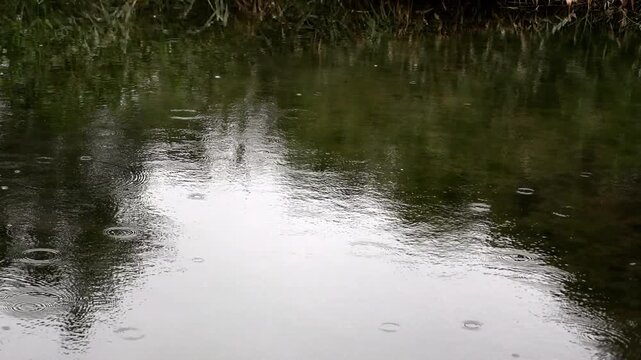 水面に雨が降っている風景