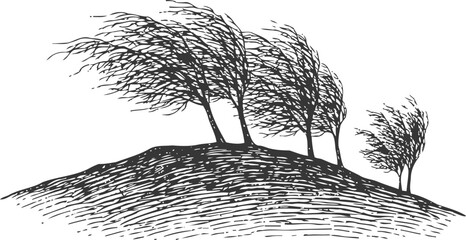 Fototapeta premium engraving windy hill with bending trees nature landscape sketch illustration