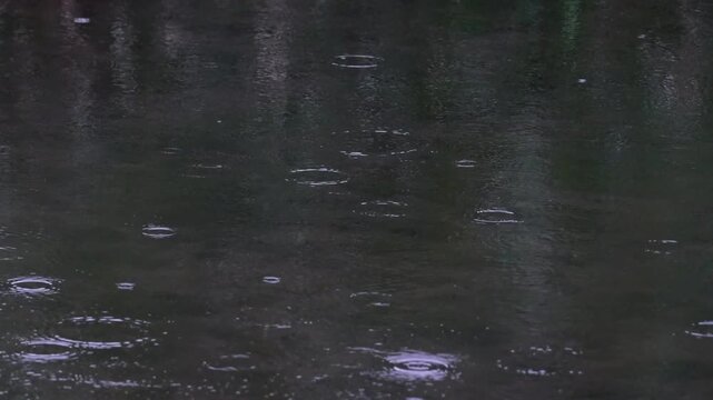 水面に雨が降っている風景