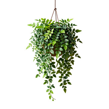 Hanging houseplant with cascading vines adds a touch of greenery to any indoor space