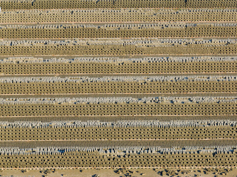 Aerial view of thousands of bricks stacked in long repetitive rows at a traditional brick kiln Bogura, Rajshahi Division, Bangladesh.