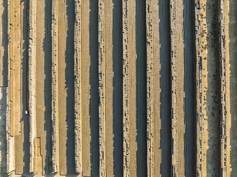 Aerial view of long parallel rows of stacked bricks in a traditional brickyard with a worker walking between the lines Bogura, Rajshahi Division, Bangladesh.