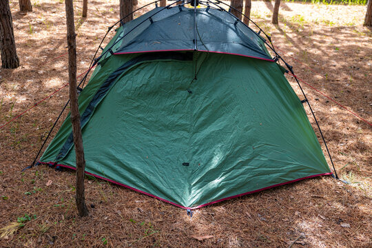 Green tent in pine forest, wet rainfly details. Concept: camp base