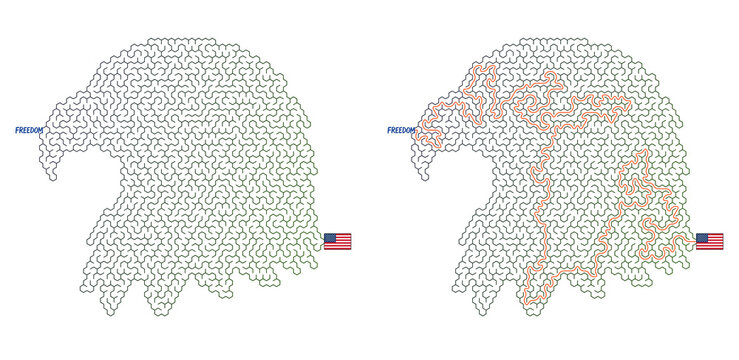 Veterans Day maze with answers featuring The Bald Eagle design  