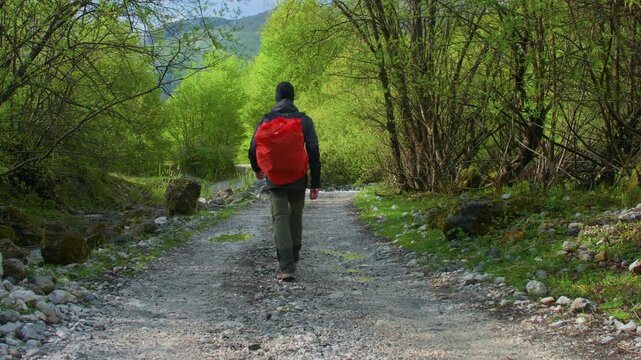 Hiker orange backpack gravel path forest walking away, static tripod shot. Caucasian man in dark mountain gear and black hat trekking into green woods.