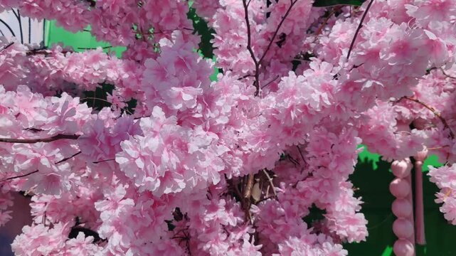 Artificial cherry blossom branches with pink flowers swaying gently in wind, decorative spring arrangement, festive outdoor decoration, soft pastel blooms creating romantic atmosphere