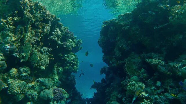 A crack in the outer reef wall leading to the inner reef. The break in the reef crest leading to the blue lagoon in the back reef.