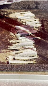  Finnish Vendace Fish Frying in slow-motion 