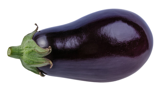 Dark purple eggplant with green stem and leaves