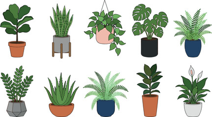 Fototapeta premium Potted houseplant vector icon set featuring popular indoor green plants monstera snake plant fern aloe vera and peace lily isolated on white background.