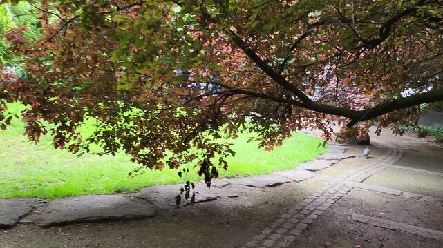 spring in the park