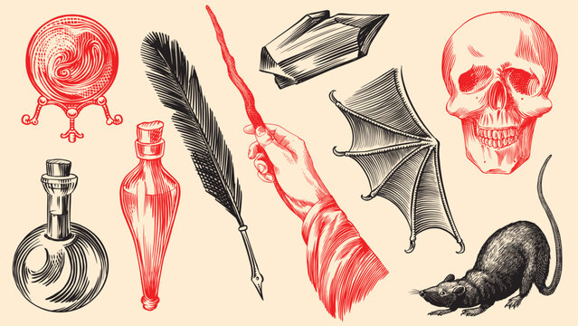 Crystal ball feather potion bottles rat and bat Wizardry and witchcraft elements for magic rituals and spiritualism and halloween. Fully digital hand drawn engraving in old traditional vintage style.