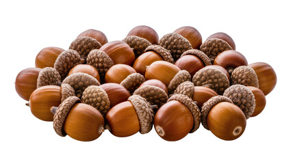 Pile of brown acorns with caps © Vetle