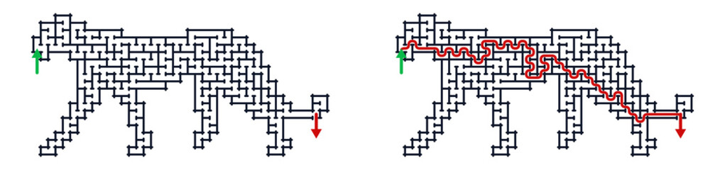Cheetah maze solution represented in a creative illustration style   © tve-proneuro