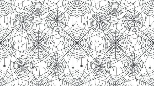 Spooky Halloween spider web seamless pattern featuring intricate black line art cobwebs and tiny hanging spiders for adult coloring book page background