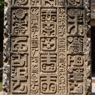 Editorial Illustration Ancient Language. Decipherable Ancient Maya Script