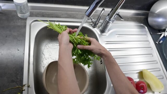 Washing fresh parsley bunch under running water in modern kitchen sink video Full HD