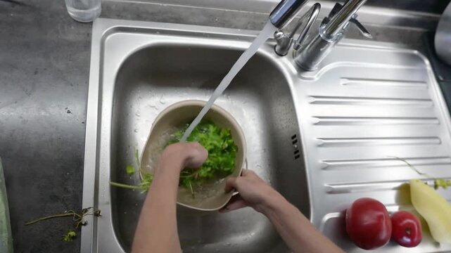 Washing fresh parsley bunch under running water in modern kitchen video Full HD sink