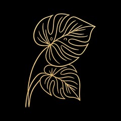Obraz premium Elegant golden monstera leaf illustration.