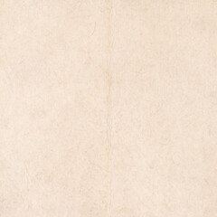 Obraz na płótnie Canvas Vintage textured paper background with copy space
