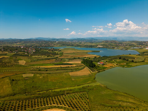 Aerial view of the lakes and agricultural fields with olive groves and rolling hills under a blue sky in Belesh, Qarku i Elbasanit, Albania.