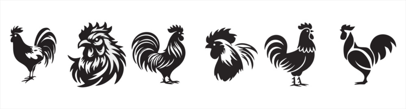 ROOSTER VECTOR.eps