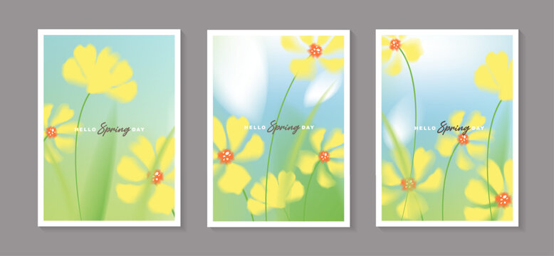 Set of spring vector posters with yellow cosmos flowers. Collection of soft pastel watercolor floral covers template on blue sky for greeting card, easter, seasonal sale vertical banner, wall art.