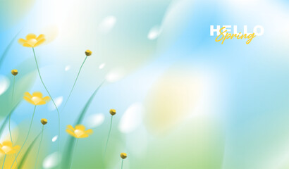 Obraz premium Hello spring greeting card vector background with copy space, abstract soft blue sky and yellow wildflower blossom blooming in fresh grass field with blurry bokeh light for seasonal nature banner.