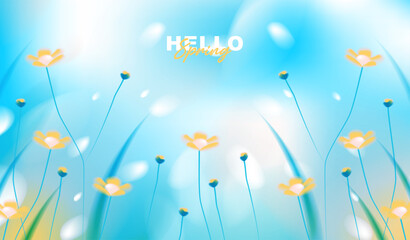 Obraz premium Hello spring greeting card vector background with abstract soft blue sky, beautiful yellow wildflower blossoms blooming in fresh grass field and blurry bokeh light for seasonal nature banner design.
