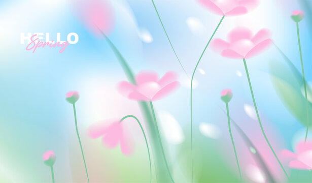 Hello spring greeting card vector background with copy space, abstract soft blue sky and pink flower blossom blooming in fresh grass field with blurry bokeh light for seasonal nature banner design.