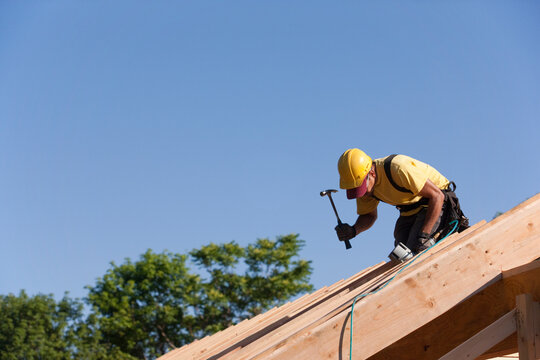 Carpenter hammering on roof rafters