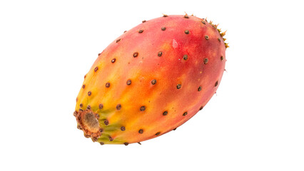 Vibrant orange prickly pear cactus fruit exotic tropical food isolated on transparent background © Pavel