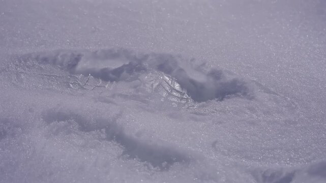 Human Footprint in Antarctic Snow Close Up