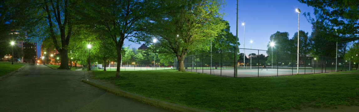 Trees in a public park