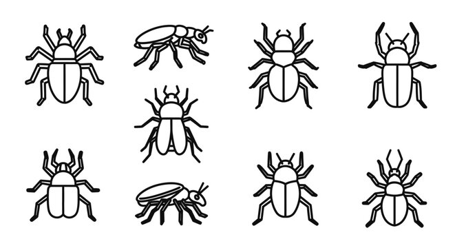Set of black line art scarab beetle icons arranged in a grid pattern