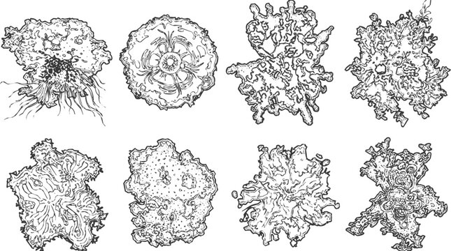 Collection of Organic Microorganism and Amoeba Shapes in an Abstract Hand-drawn Ink Sketch Style for Biological and Scientific Design Elements