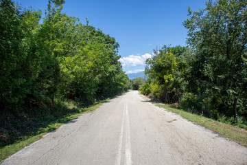 Naklejka premium Quiet rural road lined with green trees and vegetation near Lake Limmi in Greece under a clear blue sky.