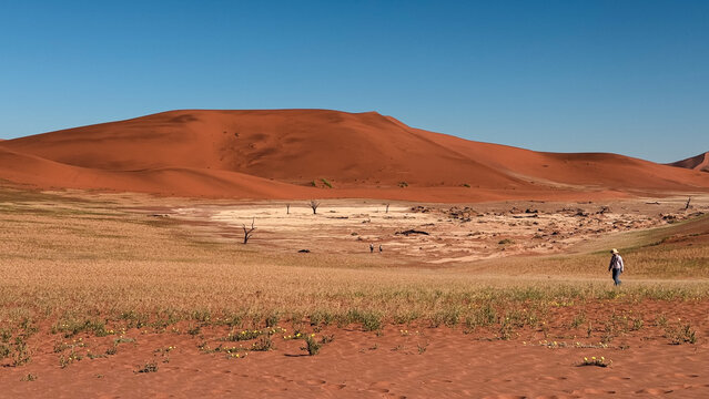 Exploring the stunning landscape of Deadvlei in Namibia during bright daylight
