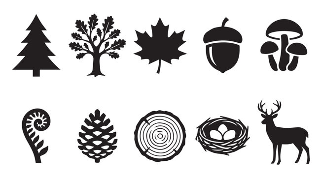 Set of black nature featuring a pine tree, oak tree, maple leaf, acorn, mushrooms, fern frond, pinecone, tree ring cross section, bird nest with eggs, and a silhouette of a deer