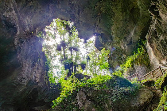 Aerial view of Mangapohue Natural Bridge featuring lush green trees and limestone rock walls with a wooden walkway in Te Anga, Waikato Region, New Zealand.
